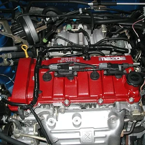 ProtegeVcover3 006.jpg