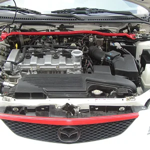 P1010005.JPG