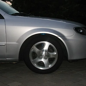 P1010004.JPG