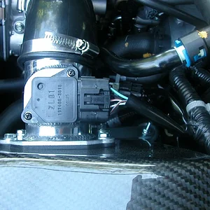 DSCN2940.JPG
