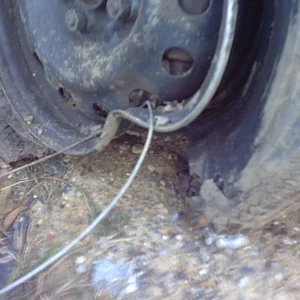 IMG00044.JPG