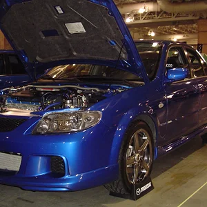 hin 023.jpg