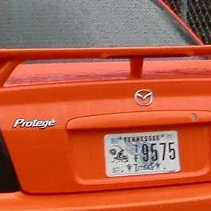 msp-rear-crop.JPG