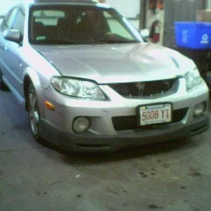 P5.JPG