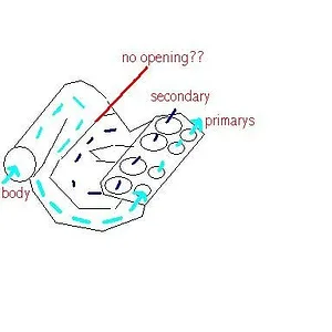 basic.jpg