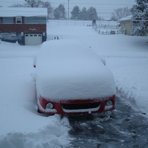 P5 - 8.5 Inches of Snow.JPG