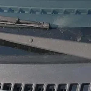 oldarm.jpg