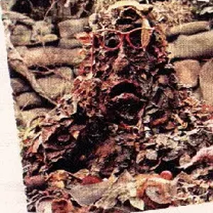trashheap.gif