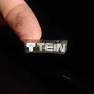 faketein1.JPG
