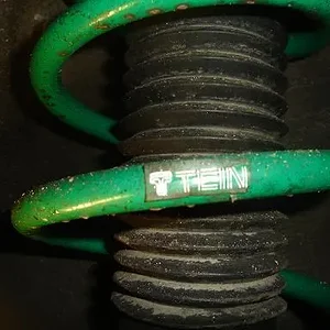 faketein3.JPG