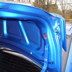 Trunk 002.jpg