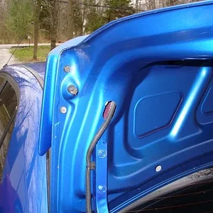 Trunk 003.jpg