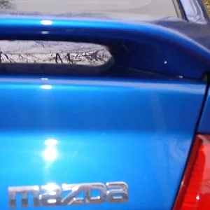 Trunk1 002.jpg