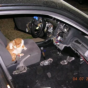 DSCN0934.JPG