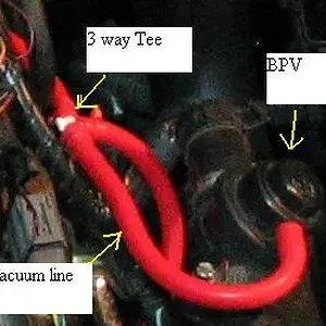 bpv1.jpg