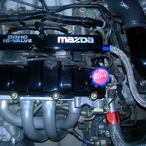 DSCN0505 (Medium).JPG