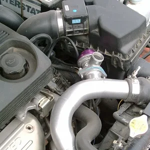 Bov1.jpg