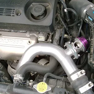 Bov2.jpg
