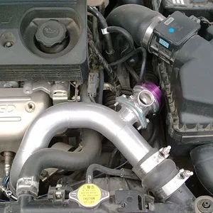 Bov3.jpg