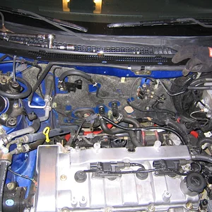 IMG_2625.jpg