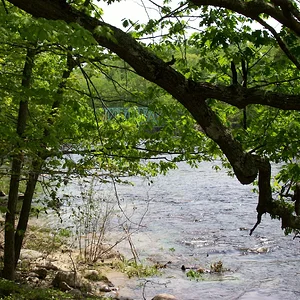 100_0222.JPG