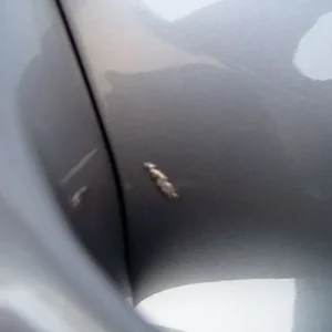 S3500117.JPG