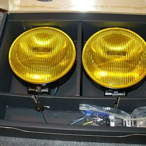 CatzSR 001W.jpg
