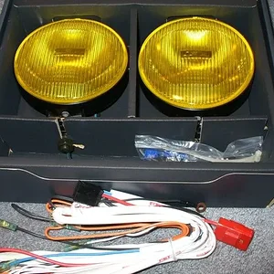 CatzSR 002W.jpg