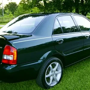 PICT0083.jpg