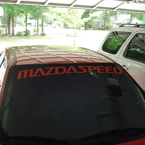 MSP Banner.JPG