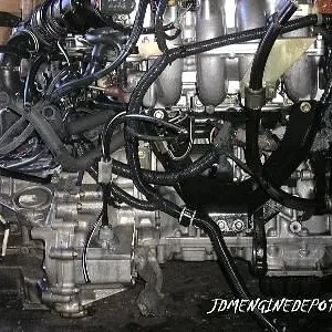 sr203.jpg