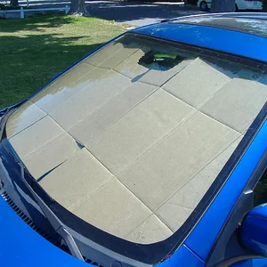 DSCF0738.JPG