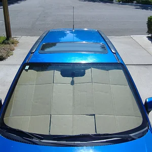 DSCF0740.JPG