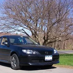Picture031crop.jpg