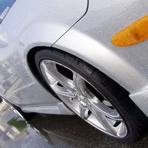 wet p5 5.jpg