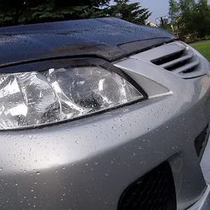 wet p5 4.jpg