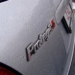 wet p5 3.jpg