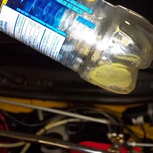Ghetto catch can contents - looks like piss.jpg