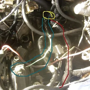 harness2copy.jpg
