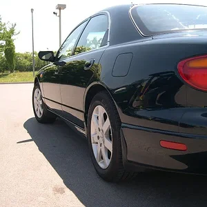 DSCN1415_800x600.jpg
