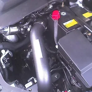 12621456_l.jpg