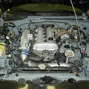 DSCN3571.JPG