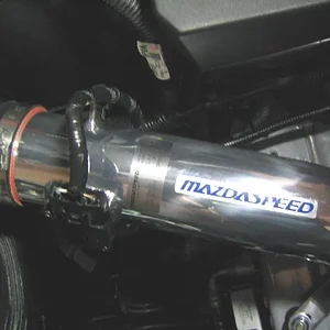 MS6 CAI 2.JPG