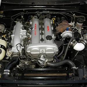 DSCN4323.JPG