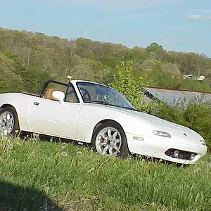 MVC-005S.JPG