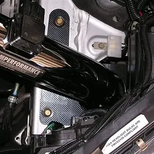 close up.jpg