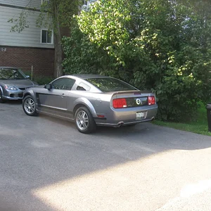 Picture 378.jpg