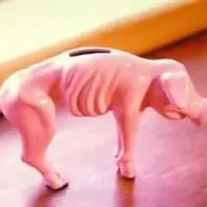419piggybank5ll.jpg