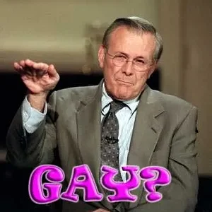 gayrumsfeld.jpg