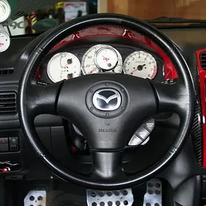 Steer-01.jpg
